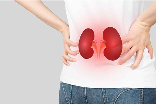 Renal Checkup Package